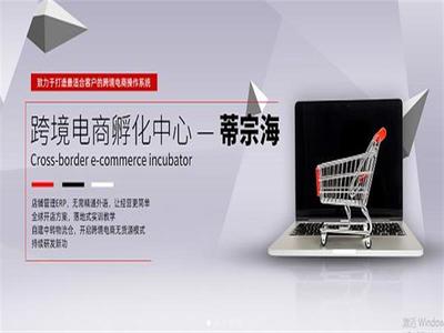 蒂宗海專業經營互聯網加盟培訓、跨境電商招商加盟等產品及服務