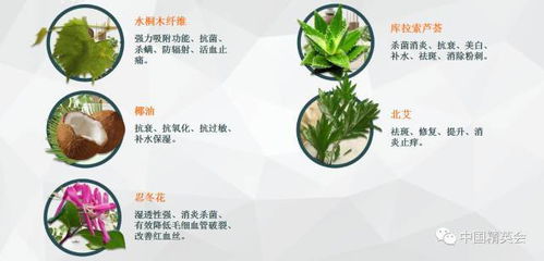 精英產品 潔洛仕水桐木纖維潔面絲 只需一片,代替洗面奶卸妝水