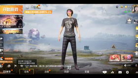 和平精英第死話 第四話 經(jīng)典模式勝利