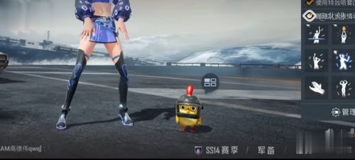 和平精英 精英玩家的競技之道